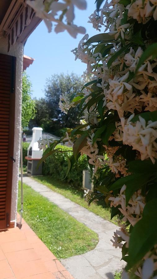 Villetta Cinquale Versilia المظهر الخارجي الصورة