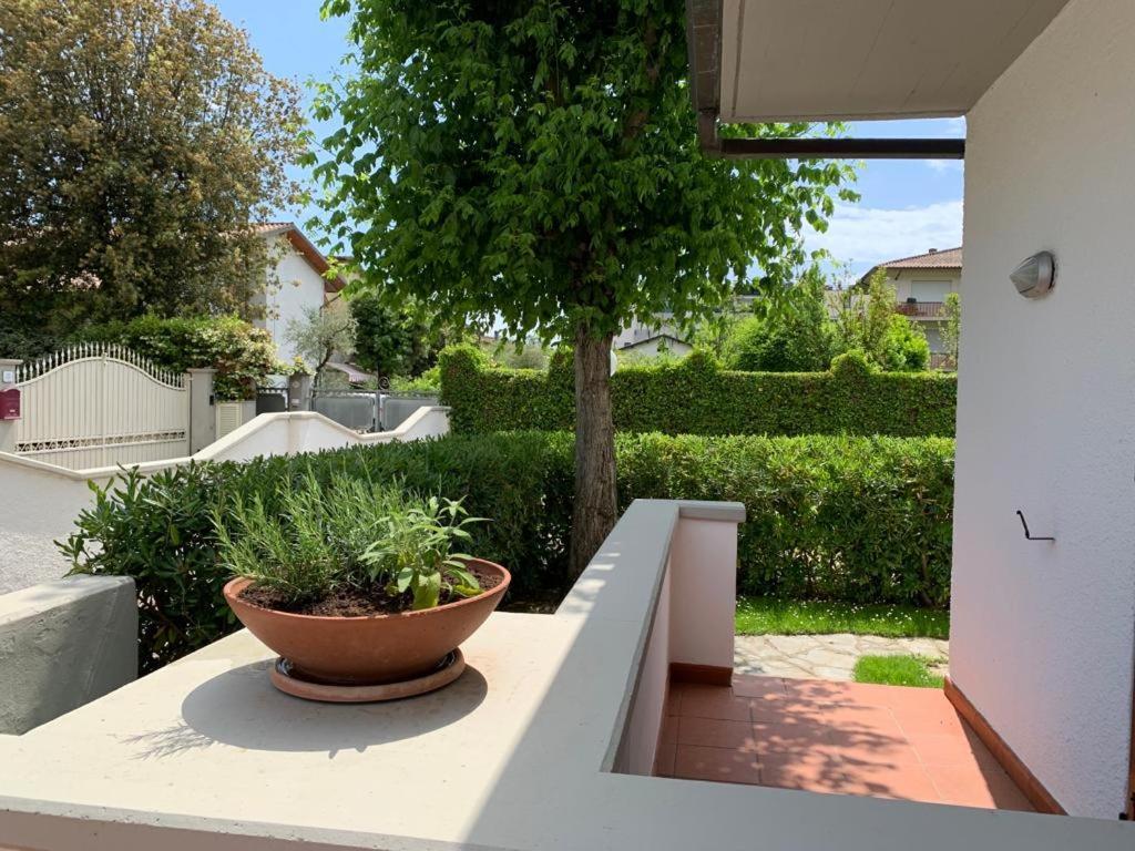 Villetta Cinquale Versilia المظهر الخارجي الصورة
